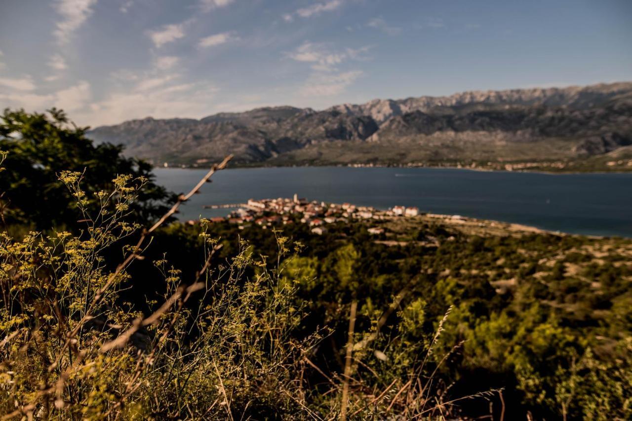 La Familia, Zadar, Vinjerac Villa Bagian luar foto
